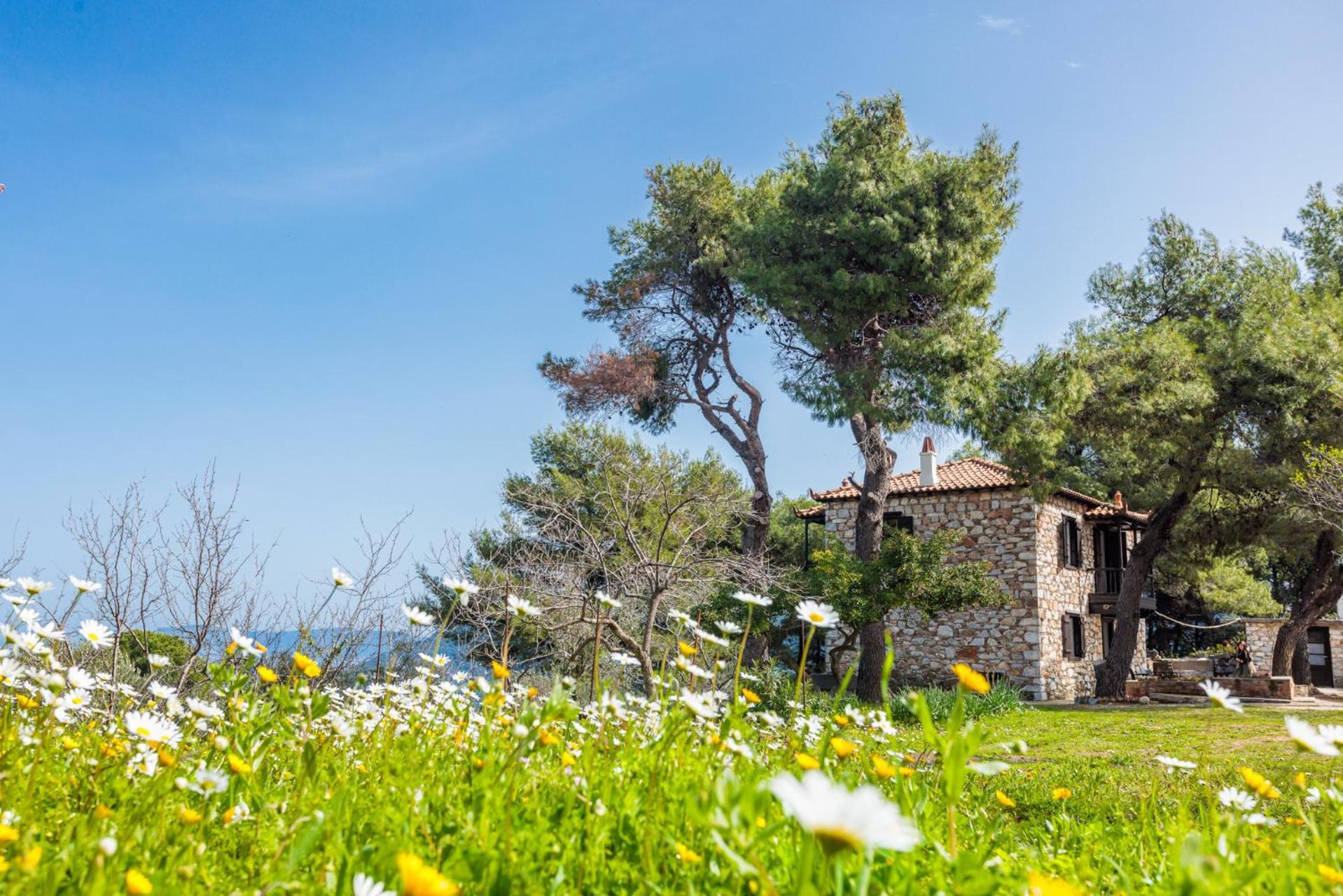 Elli Cottage Skopelos Buitenkant foto