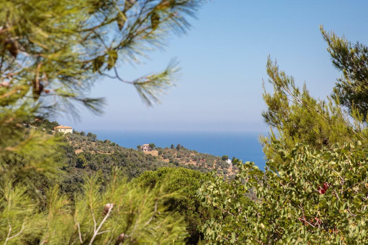 Elli Cottage Skopelos Buitenkant foto